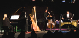 Blue Chamber Quartett live in IRL