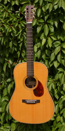 Manzanita D-12