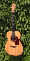 Manzanita OM