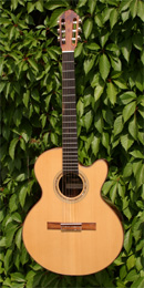 Manzanita F