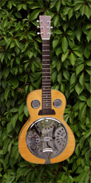 Manzanita Dobro